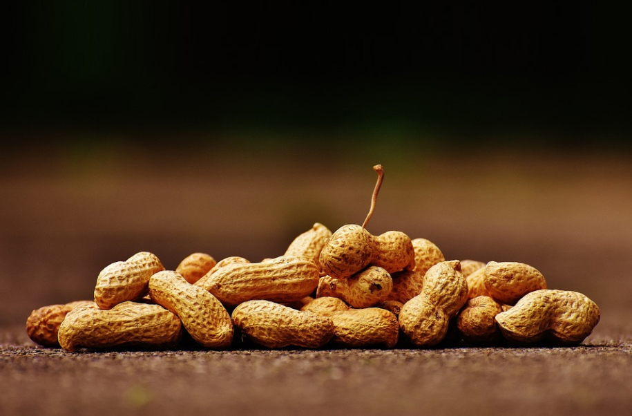 Synergie Enhanced Peanut-Specific Compound Fertilizer