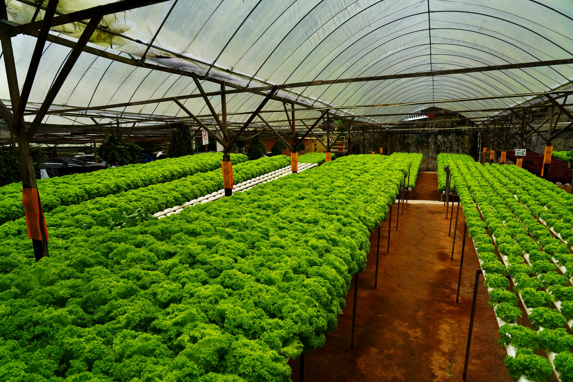 Aerial farmland — green and efficient agriculture