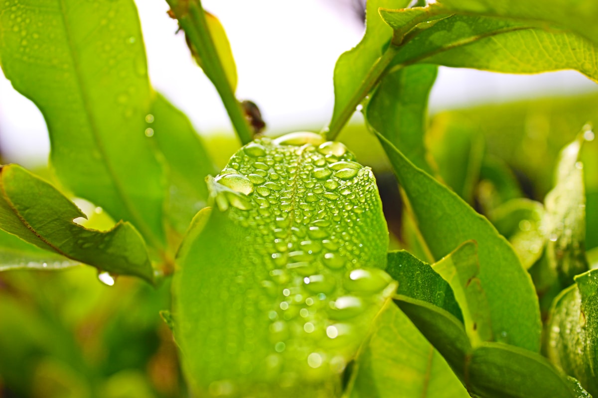 Smart Coating and Controlled-Release Technology Illustration