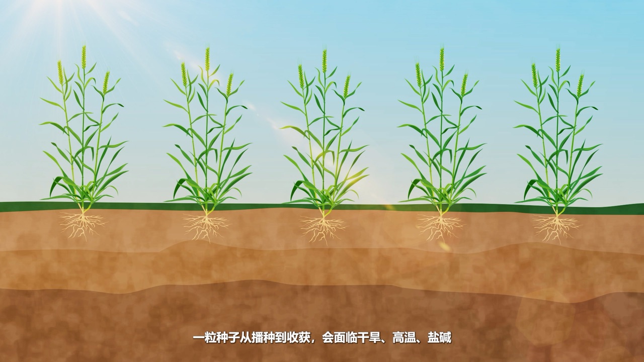 Plant Vaccine Technology Explainer Video Poster